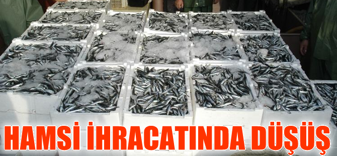 Hamsi bu yıl ihracatçısını üzdü, yüzde 39 düştü