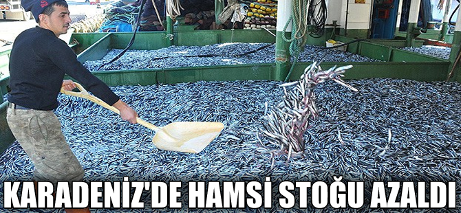 Stoklar azalınca hamsi gübre olmaktan kurtuldu