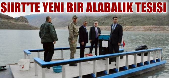 Siirt’ten alabalık ihracatı yapılacak