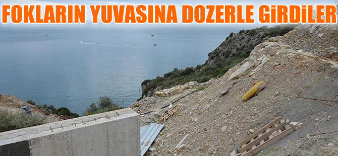 Akdeniz Foku’nun yuvalama alanında dozerle çalışma tepkisi