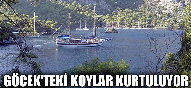 Küçük Sarsala Koyu için 'yürütmeyi durdurma' kararı