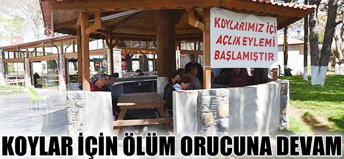 Göcek'teki koylar için ölüm orucuna devam
