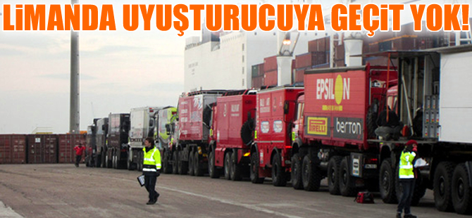 Ro-Ro gemisi ile Mersin Limanı'na getirilen dorsede uyuşturucu yakalandı