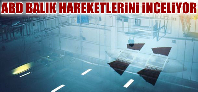 ABD ordusu balık hareketlerini inceliyor