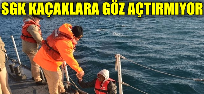 Ege ve Akdeniz'de 340 kaçak göçmen yakalandı