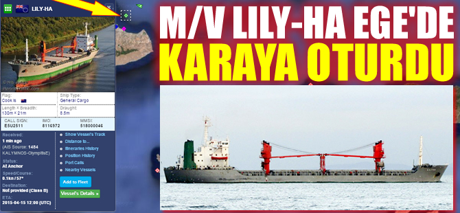 Ege Denizi'nde makina arızası yapan kuruyük gemisi karaya oturdu