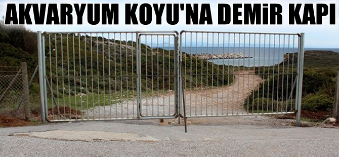 Dünyaca ünlü Akvaryum koyuna demir kapı