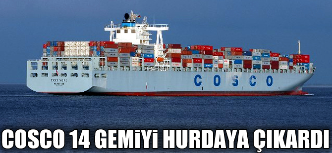 Çinli COSCO 14 gemisini daha hurdaya çıkardı