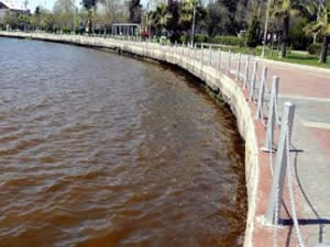 İzmit Körfezi'nin rengi kırmızıya boyandı