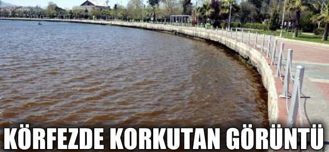 İzmit Körfezi'nin rengi kırmızıya boyandı