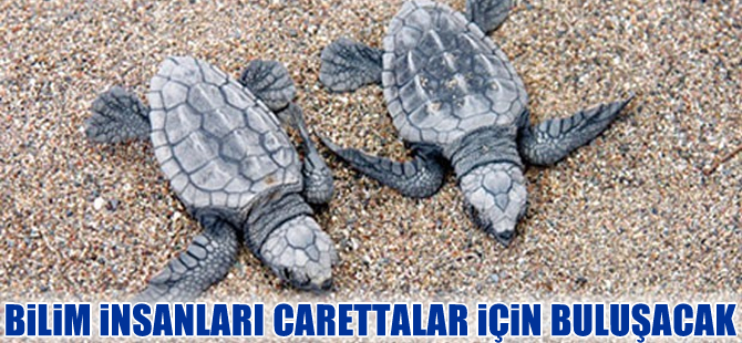 Caretta caretta zirvesi bugün Dalyan'da başlıyor