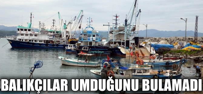 Denizlerdeki aşırı av baskısı balığı kaçırdı