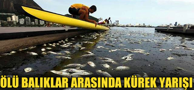 Rio de Jenerio’da kürekçilere 21 ton ölü balık eşlik etti