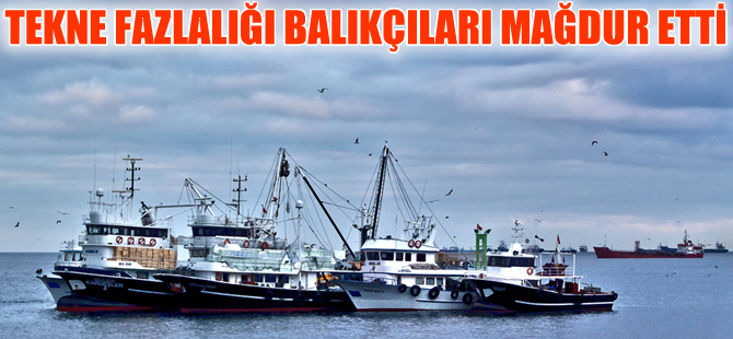Tekne sayısındaki fazlalık balıkçılara zarar ettirdi