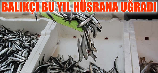 Balıkçılar bu yıl hüsrana uğradı
