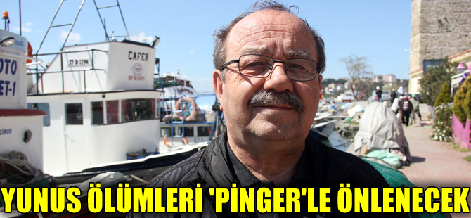 “Pinger” ile yunus ölümlerinin önüne geçilecek