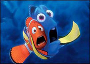 'Kayıp balık Nemo' gerçekmiş