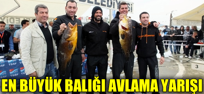 Zıpkınla en büyük balığın peşine düştüler