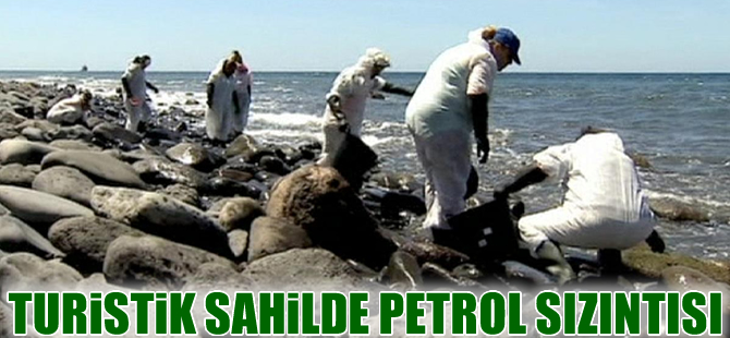 Kanarya Adaları açıklarında petrol sızıntısı
