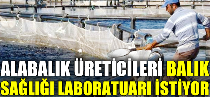 Fethiyeli alabalık üreticileri balık sağlığı laboratuarı istiyor