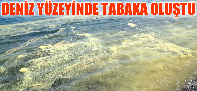 Konyaaltı Plajı'nda deniz yüzeyinde tabaka oluştu
