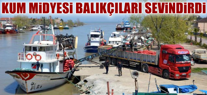 Karasulu balıkçıların yüzünü kum midyesi güldürdü