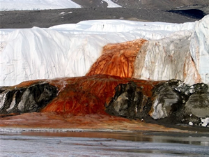 Antarktika'daki Kan Şelalesi'nin kaynağı bulundu