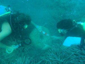 Mersin kıyılarında sualtı arkeolojik çalışmaları bu yaz yapılacak