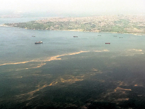 Prof. Dr. Oya Okay: Marmara Denizindeki  fitoplankton patlamaları uyarı