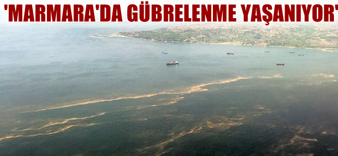 "Marmara Denizi gübrelenme yaşıyor" iddiası
