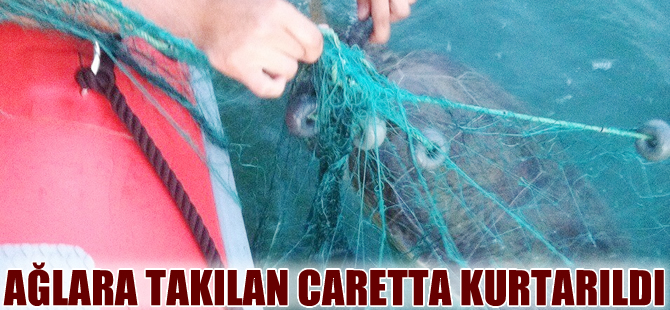 Toplanmayan ağlara dolanan caretta carettayı Sahil Güvenlik kurtardı