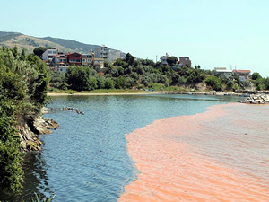 Erdek sahilleri kızıla boyandı, vatandaşlar şaşkına döndü