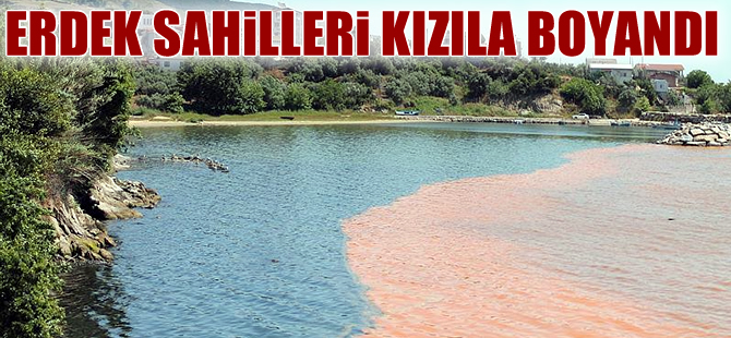 Erdek sahilleri kızıla boyandı, vatandaşlar şaşkına döndü