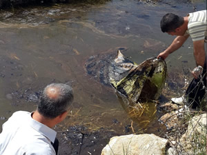 Çamgazi Baraj Göleti'ne, petrol atığı döküldü
