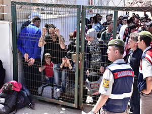 Bodrum'da Sahil Güvenlik Komutanlığı ekipleri 185 kaçak yakaladı