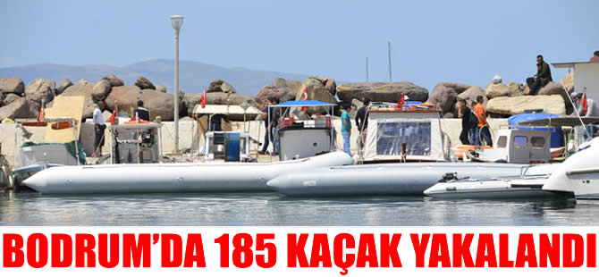 Bodrum'da Sahil Güvenlik Komutanlığı ekipleri 185 kaçak yakaladı