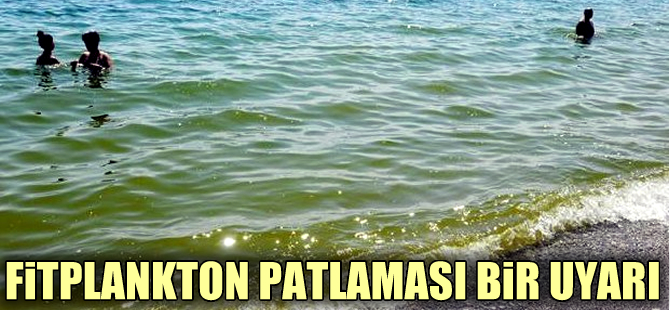 Prof. Dr. Oya Okay: Marmara Denizindeki  fitoplankton patlamaları uyarı
