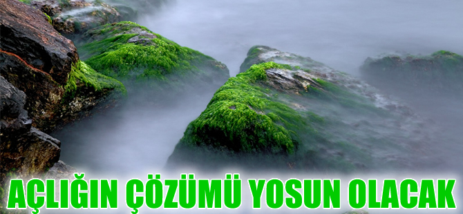 Doç. Dr. Berat Zeki Haznedaroğlu “Açlığın çözümü yosun olacak”