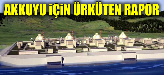 Akkuyu'da gizlenen rapor ortaya çıktı