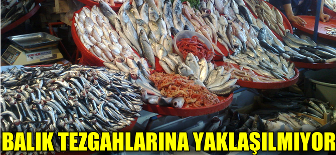 Mayıs ayında balık fiyatları fırladı