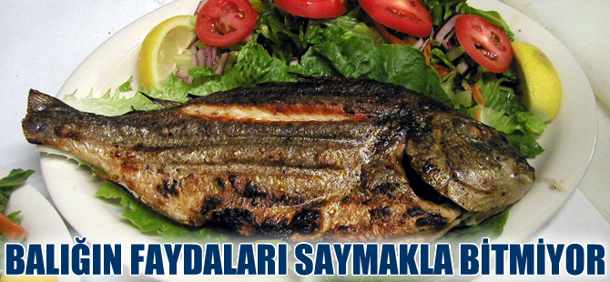 Kilo aldırdığı sanılan balık yağı aksine zayıflatıyor