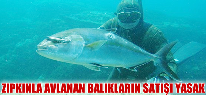 Türkiye'de zıpkınla avlanan balıkların satışı yasak