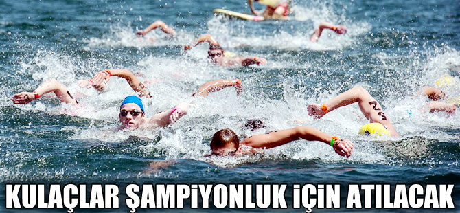 4. TYF-DTO İzmir Açık Su Türkiye Yüzme Şampiyonası Foça'da yapılacak