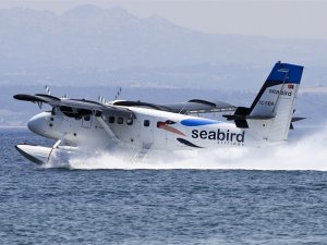 Seabird, uçuşlarını sessiz sedasız durdurdu