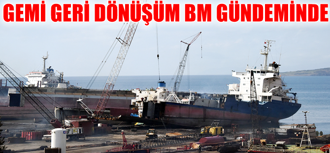 Türk Gemi Geri Dönüşüm sektörü, BM'nin gündeminde