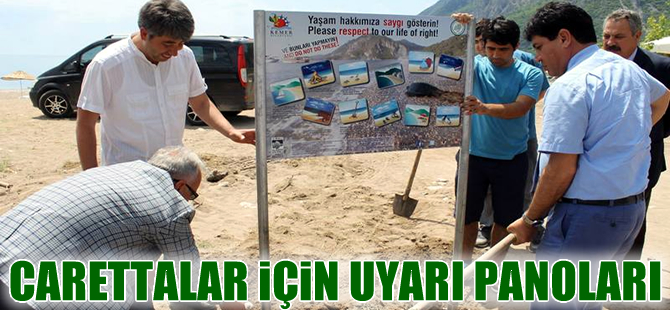 Caretta carettalar için uyarı panoları dikilmeye başladı
