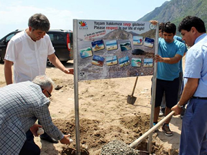 Caretta carettalar için uyarı panoları dikilmeye başladı
