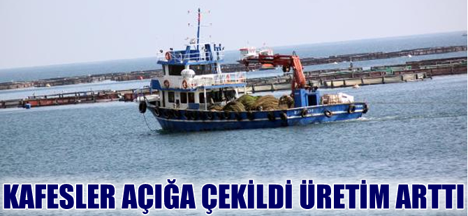 Denizde kafesler açığa çekildi balık üretimi arttı