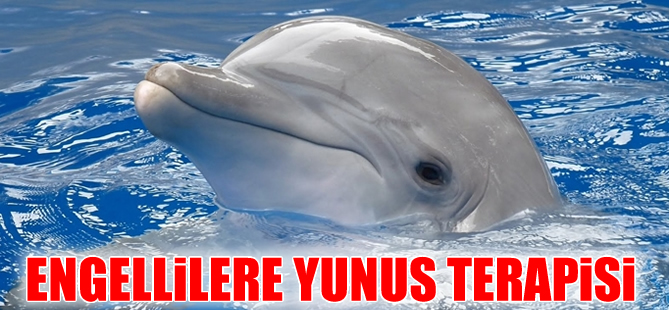 Bodrum'da engellilere Yunus terapisi