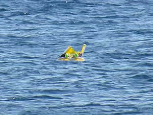 SGK, Küçükkuyu'da deniz simidi ile açığa sürüklenen 10 aylık bebeği kurtardı